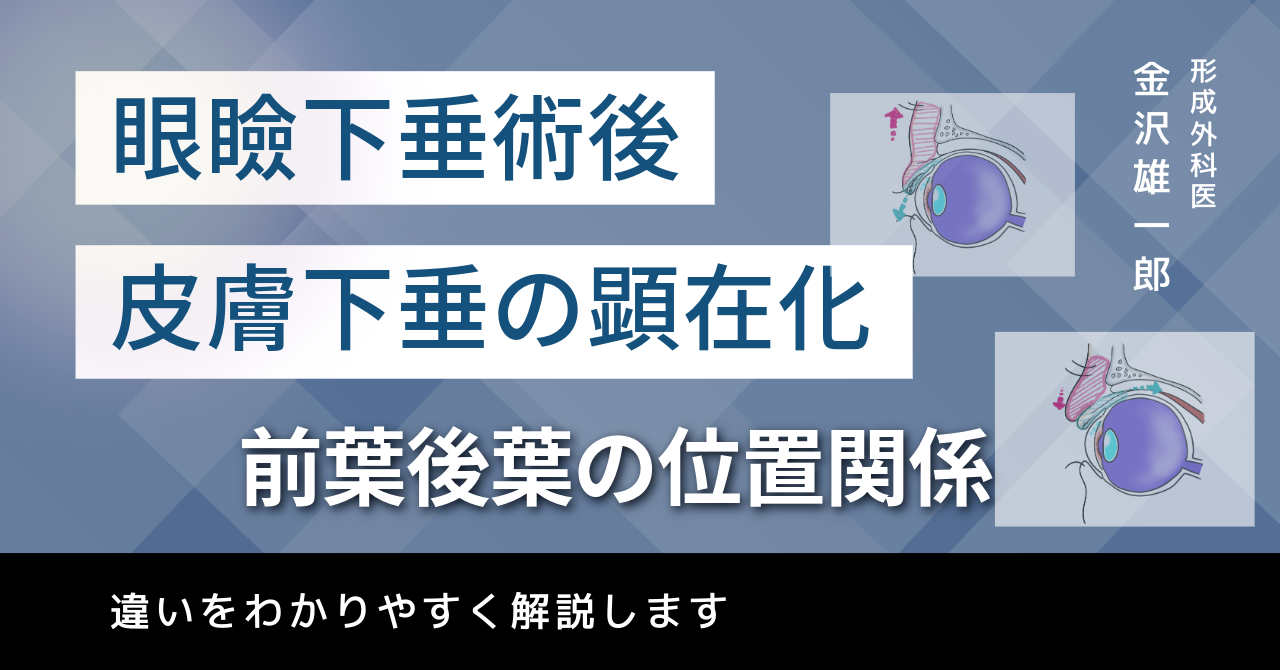 前葉と後葉の逆転